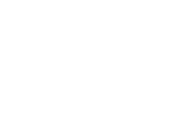 MANANE LLC logo